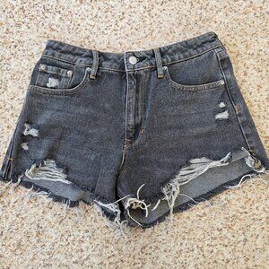 PacSun High Rise Festival Shorts, 27" waist, Like New